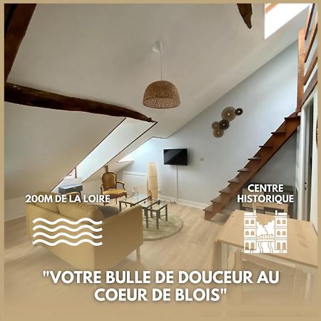 Le Cocon - Appartement En Hyper Centre Blois Exteriér fotografie
